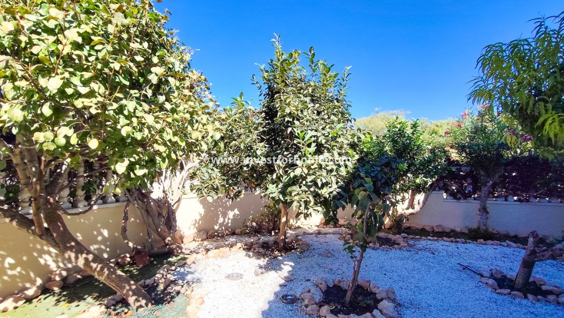 Reventa - Apartamento - Orihuela Costa - Costa Blanca