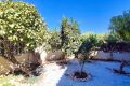 Reventa - Apartamento - Orihuela Costa - Costa Blanca