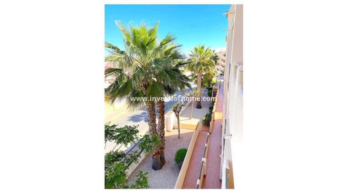 Reventa - Apartamento - Orihuela Costa - Costa Blanca