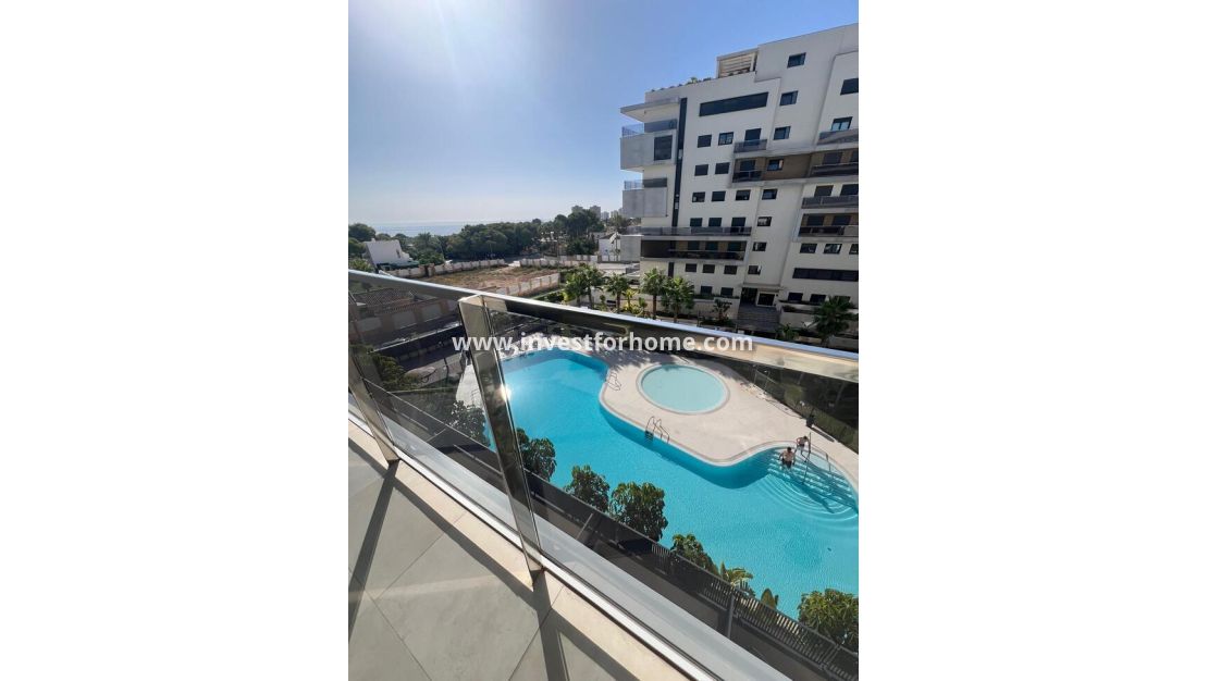 Reventa - Apartamento - Orihuela Costa - Costa Blanca