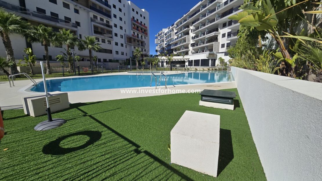 Reventa - Apartamento - Orihuela Costa - Dehesa De Campoamor