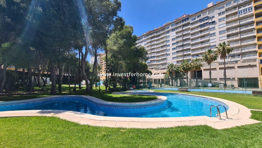 Reventa - Apartamento - Orihuela Costa - Dehesa De Campoamor
