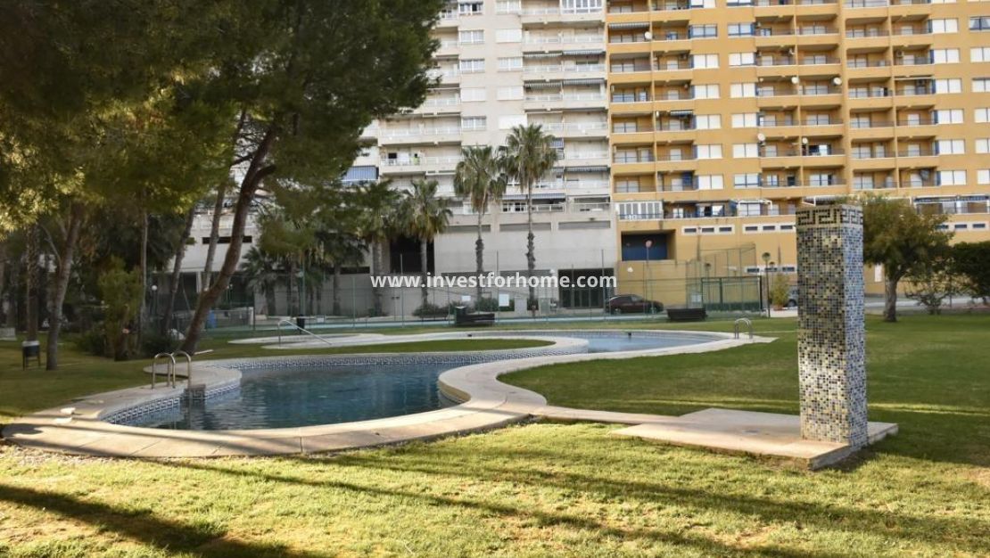 Reventa - Apartamento - Orihuela Costa - Dehesa De Campoamor