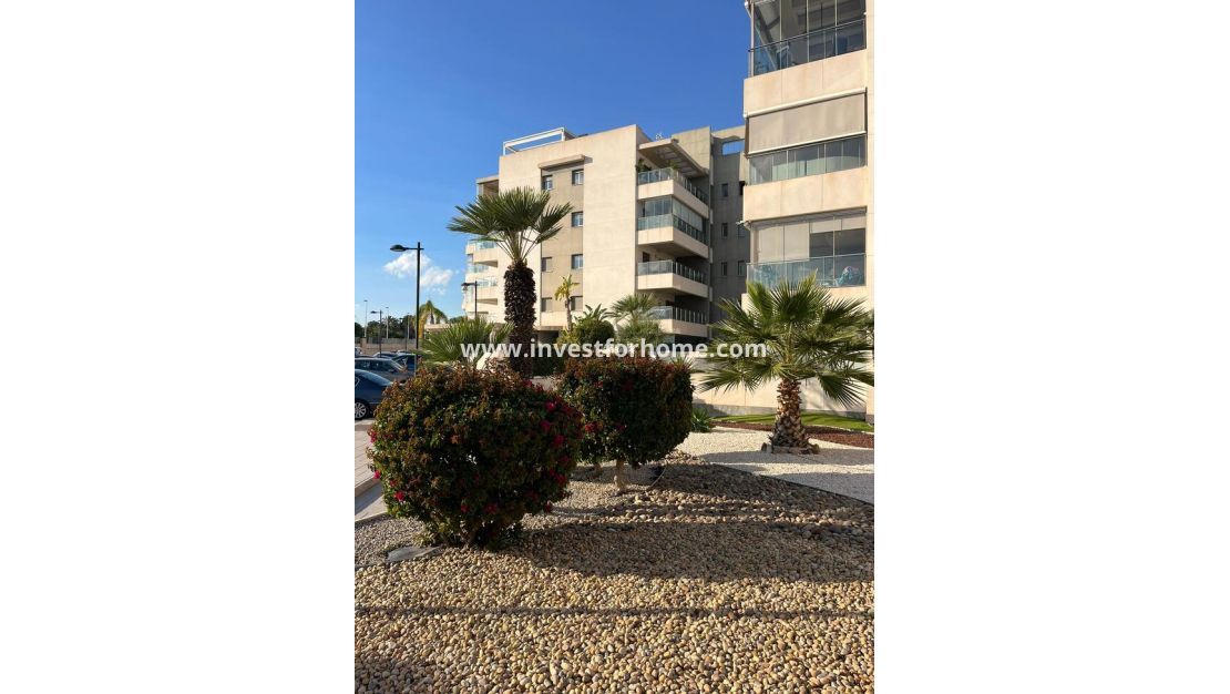 Reventa - Apartamento - Orihuela Costa - Inland