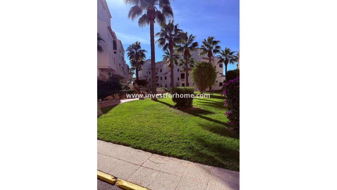 Reventa - Apartamento - Orihuela Costa - Inland