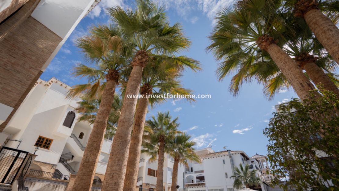 Reventa - Apartamento - Orihuela Costa - Inland