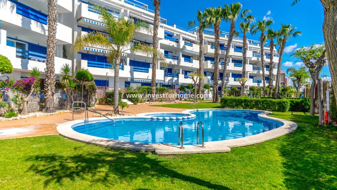 Reventa - Apartamento - Orihuela Costa - La Calma