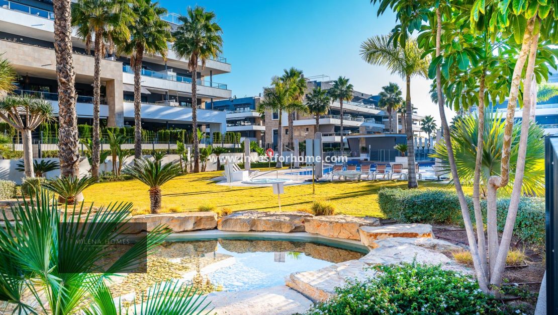 Reventa - Apartamento - Orihuela Costa - La Zenia