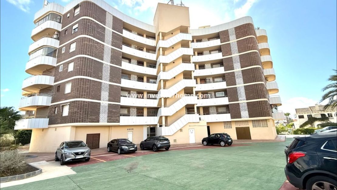 Reventa - Apartamento - Orihuela Costa - La Zenia