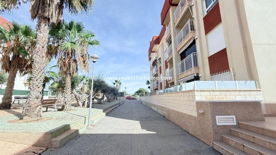 Reventa - Apartamento - Orihuela Costa - Lomas De Cabo Roig