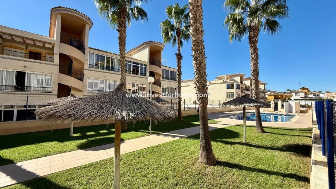Reventa - Apartamento - Orihuela Costa - Los Balcones Y Los Altos