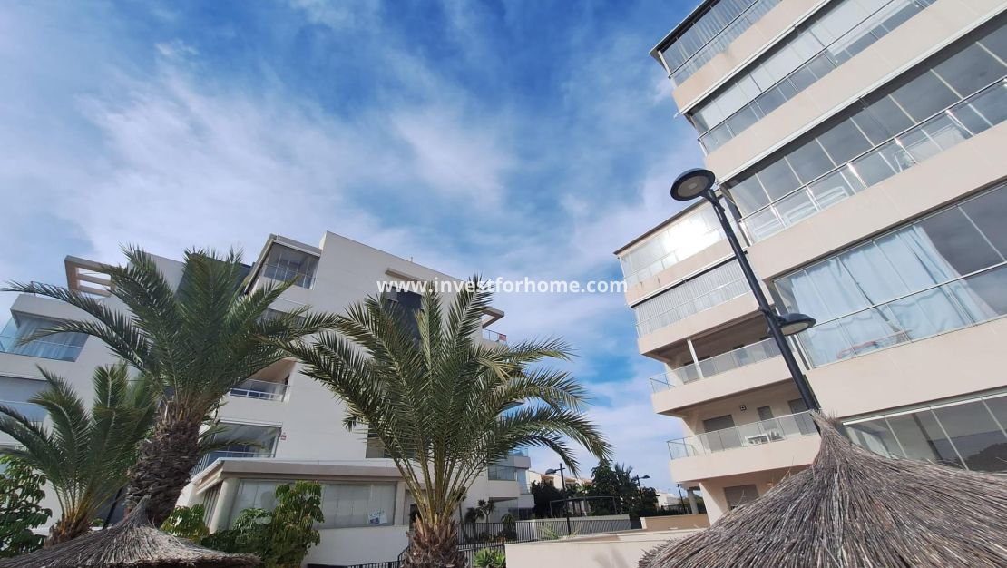 Reventa - Apartamento - Orihuela Costa - Los Dolses