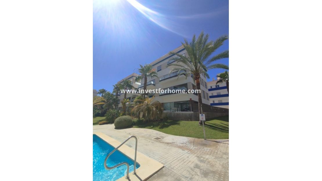 Reventa - Apartamento - Orihuela Costa - Los Dolses