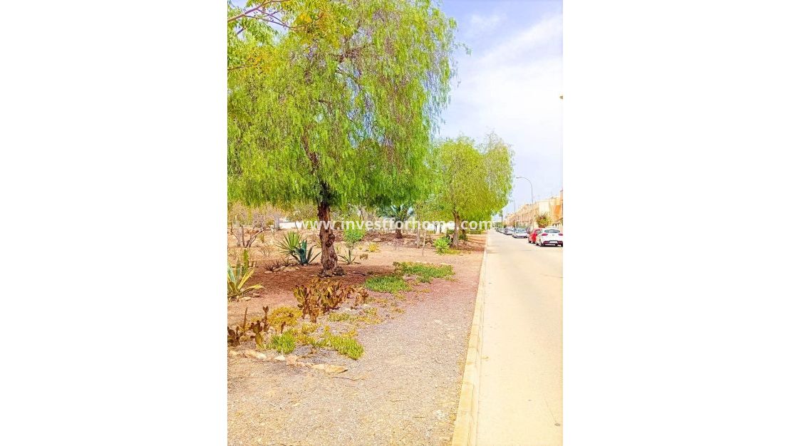 Reventa - Apartamento - Orihuela Costa - Playa Flamenca