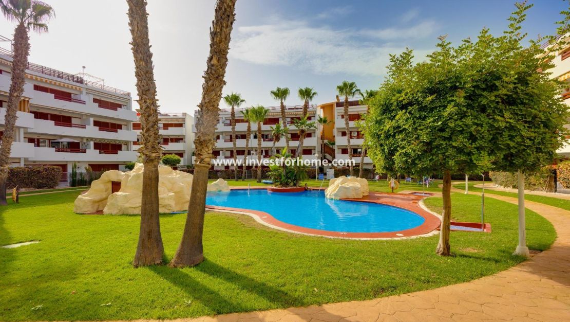 Reventa - Apartamento - Orihuela Costa - Playa Flamenca