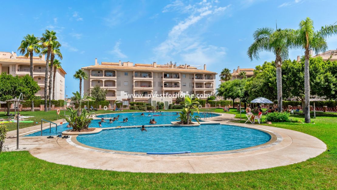 Reventa - Apartamento - Orihuela Costa - Playa Flamenca