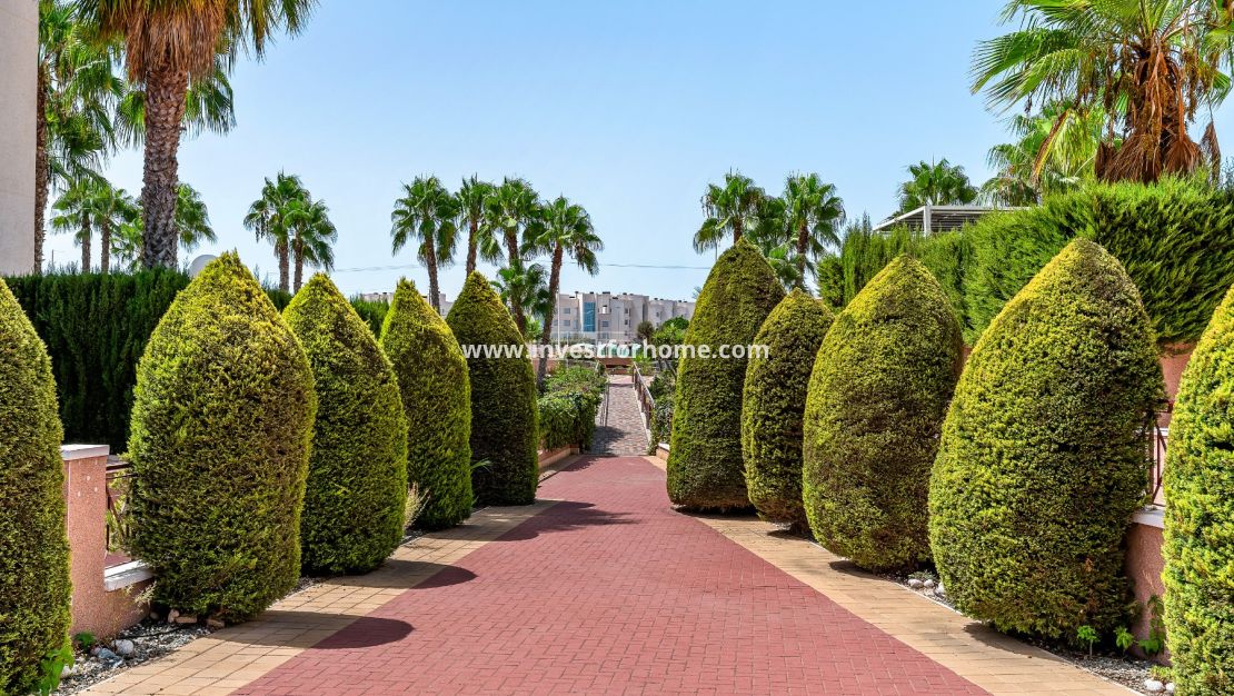 Reventa - Apartamento - Orihuela Costa - Playa Flamenca