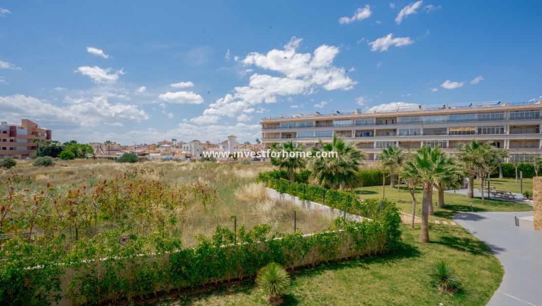 Reventa - Apartamento - Orihuela Costa - Playa Flamenca