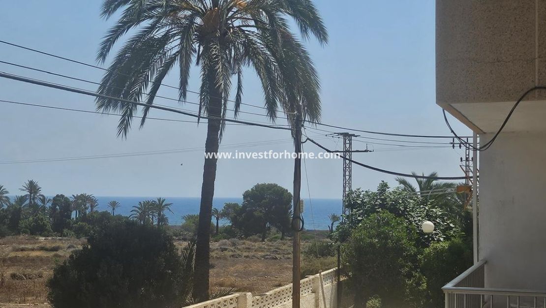 Reventa - Apartamento - Orihuela Costa - Punta Prima