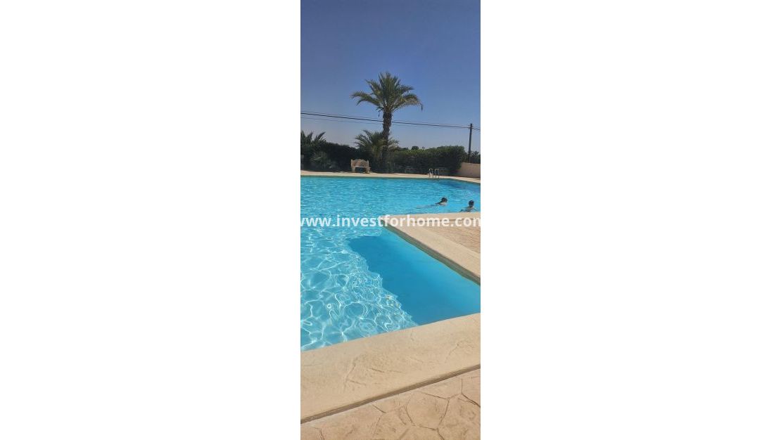 Reventa - Apartamento - Orihuela Costa - Punta Prima