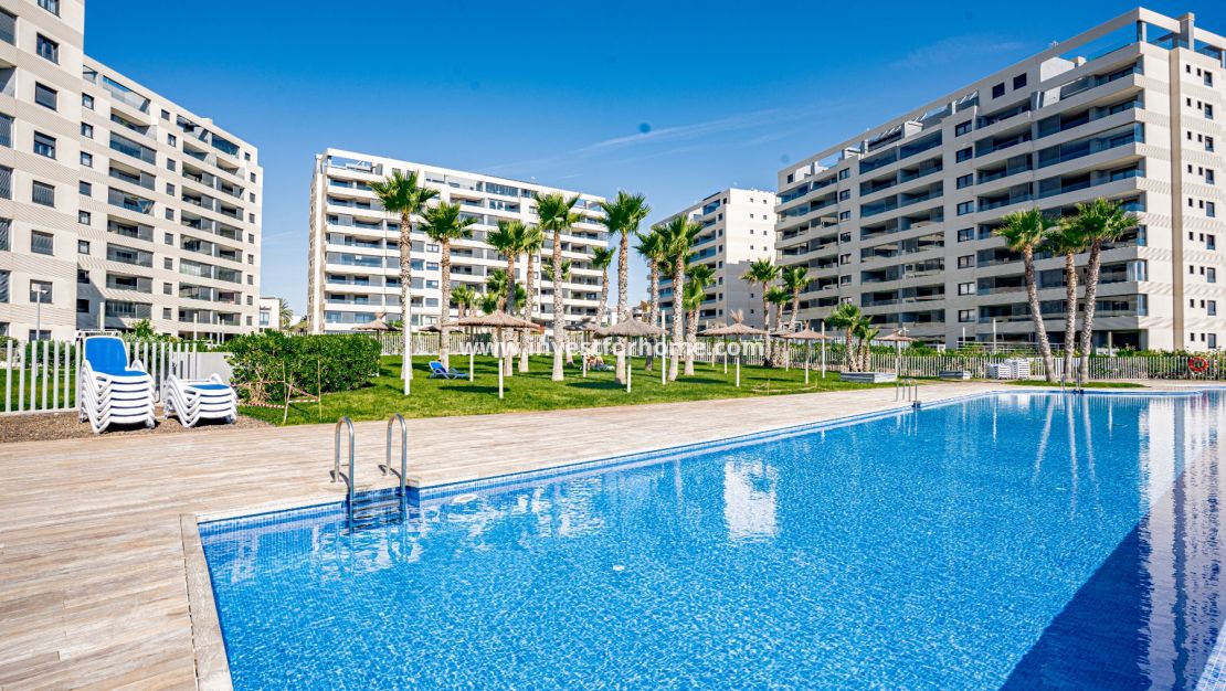 Reventa - Apartamento - Orihuela Costa - Punta Prima