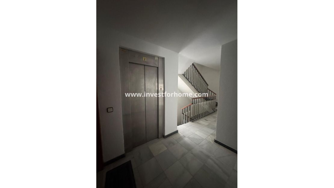 Reventa - Apartamento - Orihuela Costa - Zona Centro