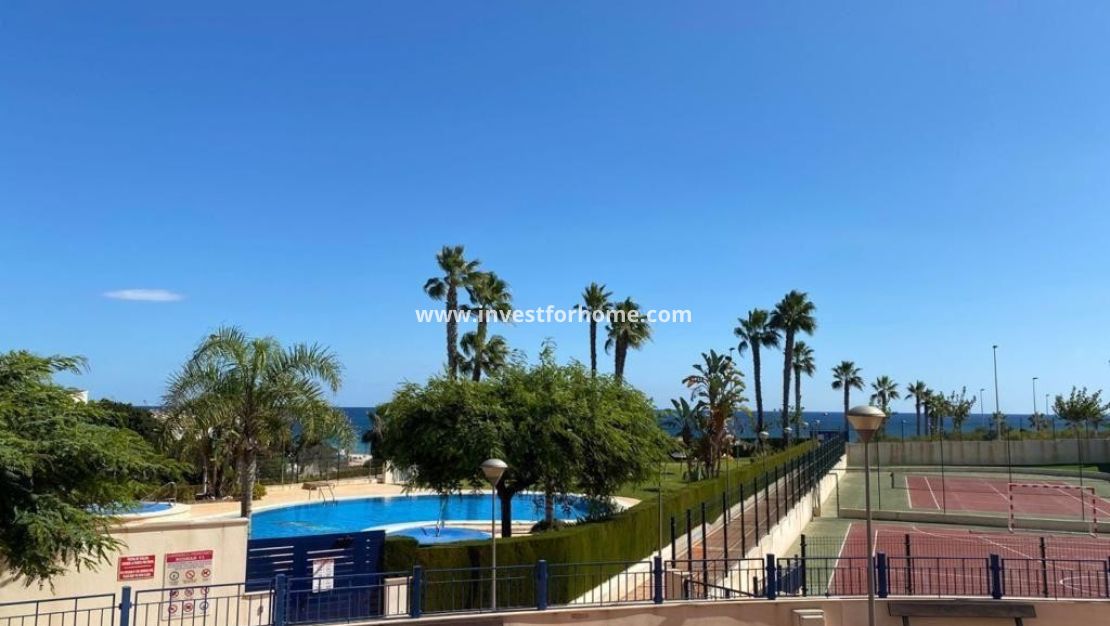 Reventa - Apartamento - Pilar de la Horadada - Costa Blanca