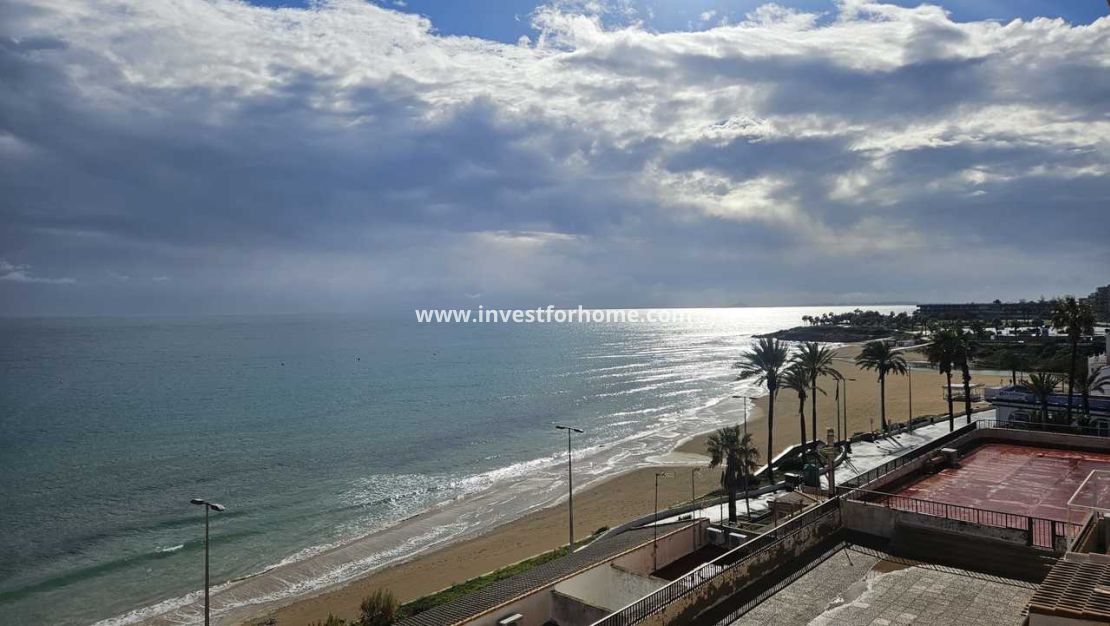 Reventa - Apartamento - Pilar de la Horadada - Costa Blanca