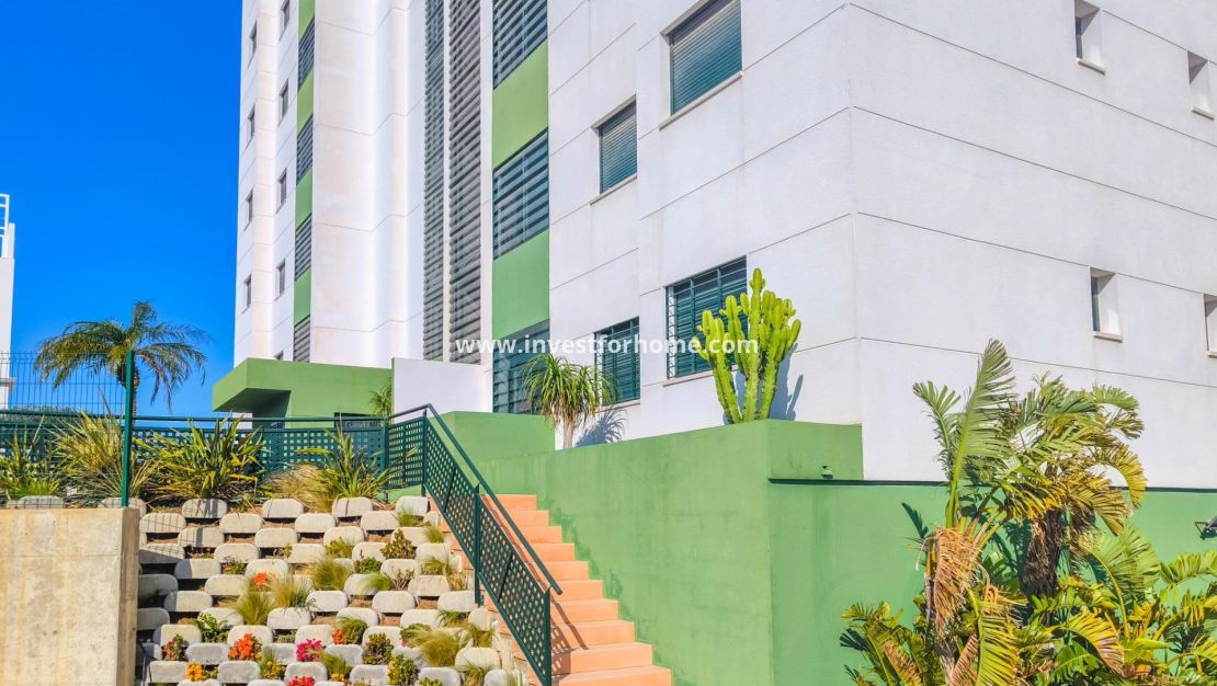 Reventa - Apartamento - Pilar de la Horadada - Mil Palmeras