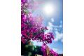 Reventa - Apartamento - San Javier - Costa Calida