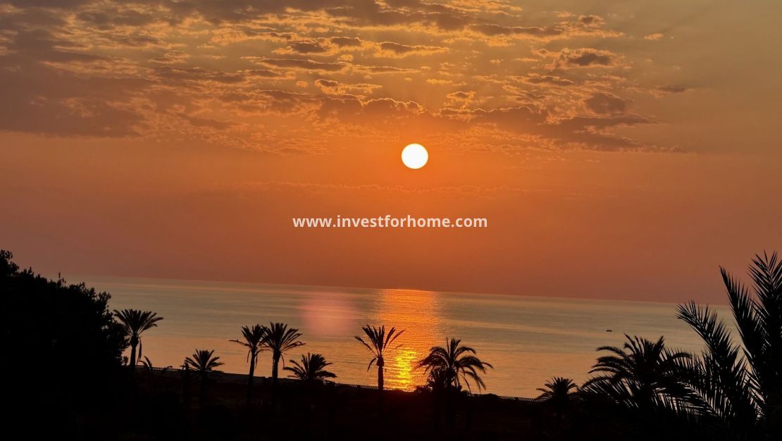 Reventa - Apartamento - San Miguel de Salinas - Inland