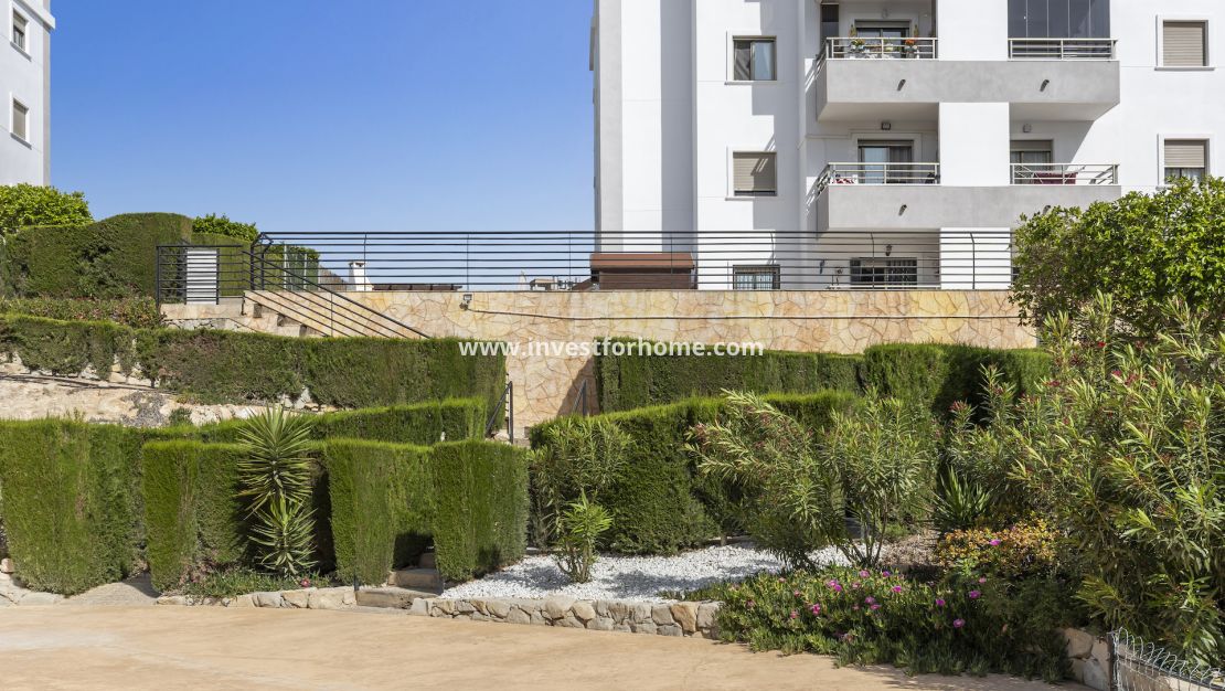 Reventa - Apartamento - San Miguel de Salinas - Inland