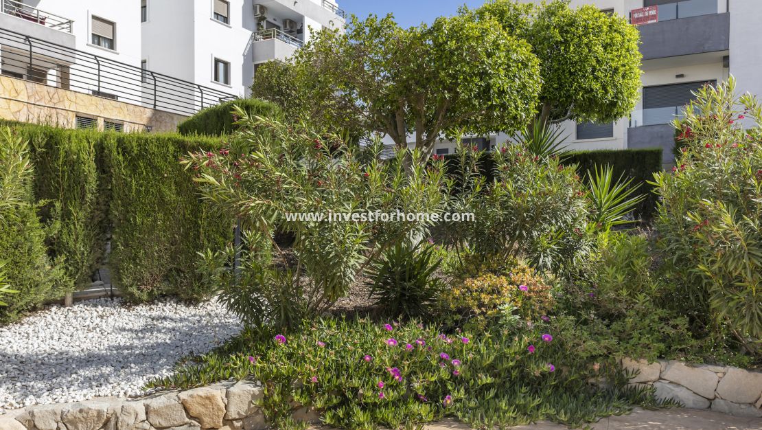Reventa - Apartamento - San Miguel de Salinas - Inland