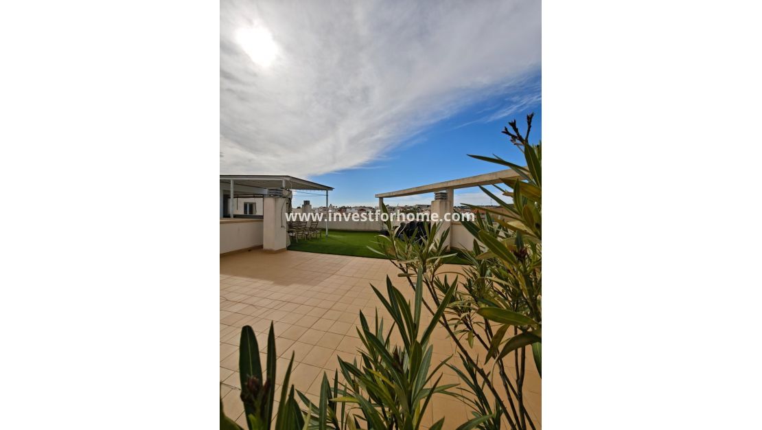 Reventa - Apartamento - San Miguel de Salinas - Pueblo 9