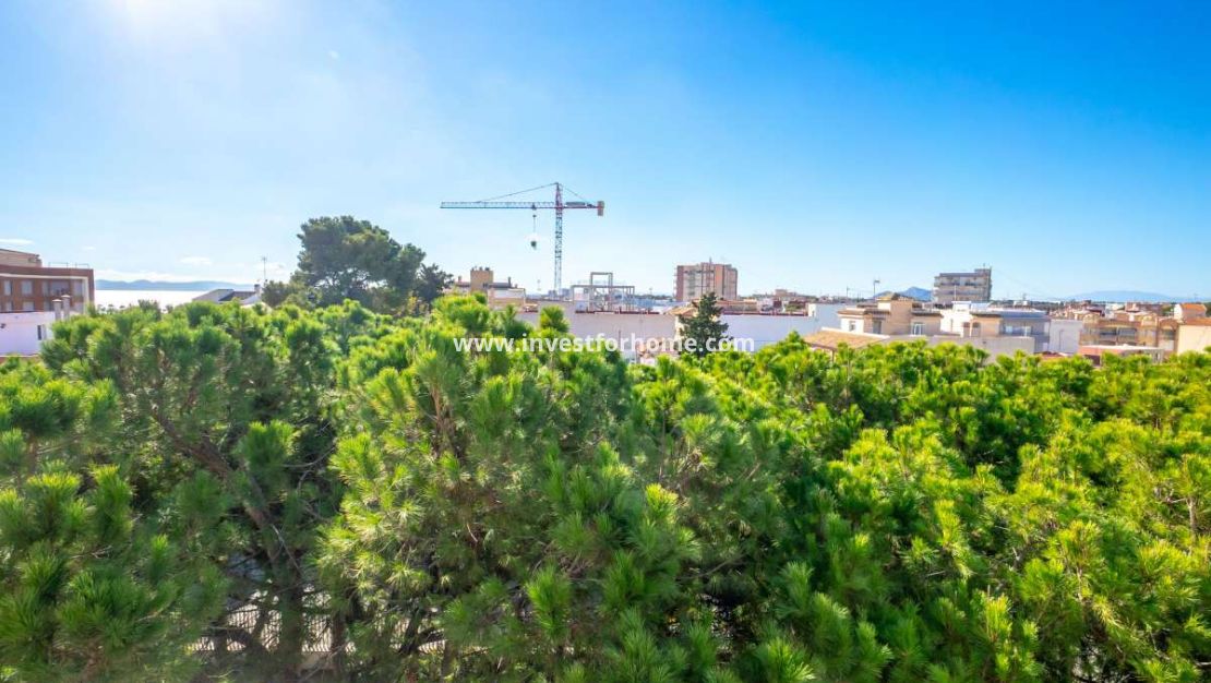 Reventa - Apartamento - San Pedro del Pinatar - Costa Calida