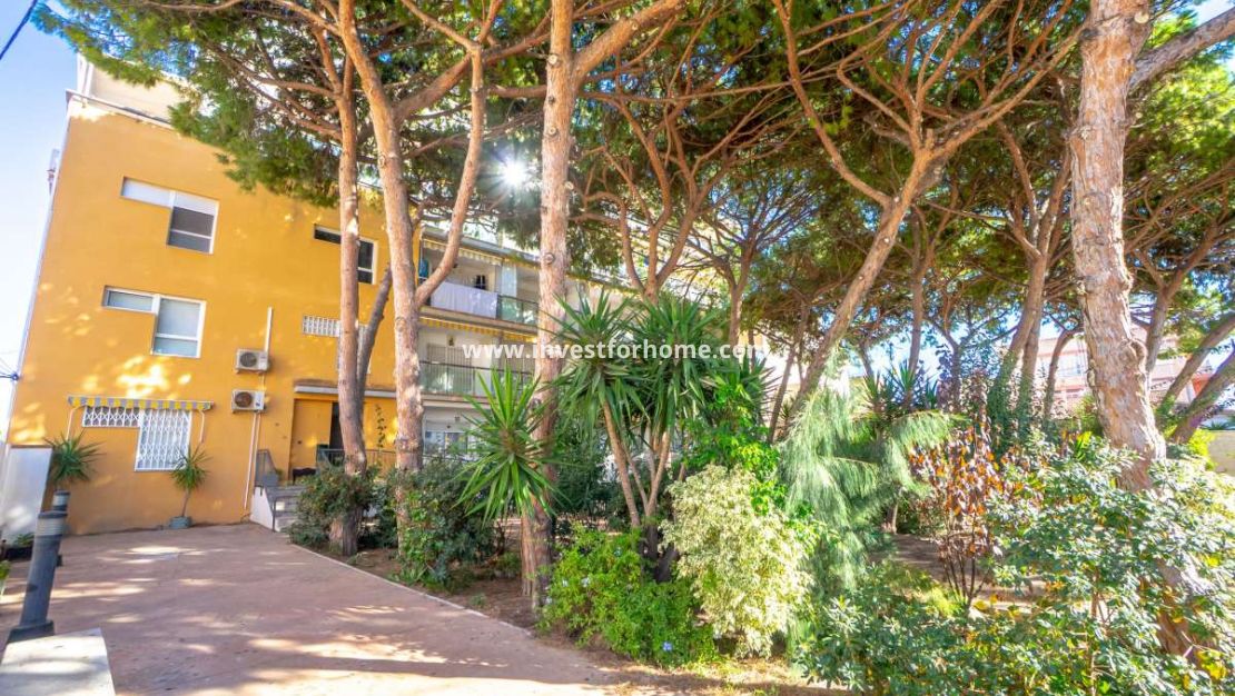 Reventa - Apartamento - San Pedro del Pinatar - Costa Calida