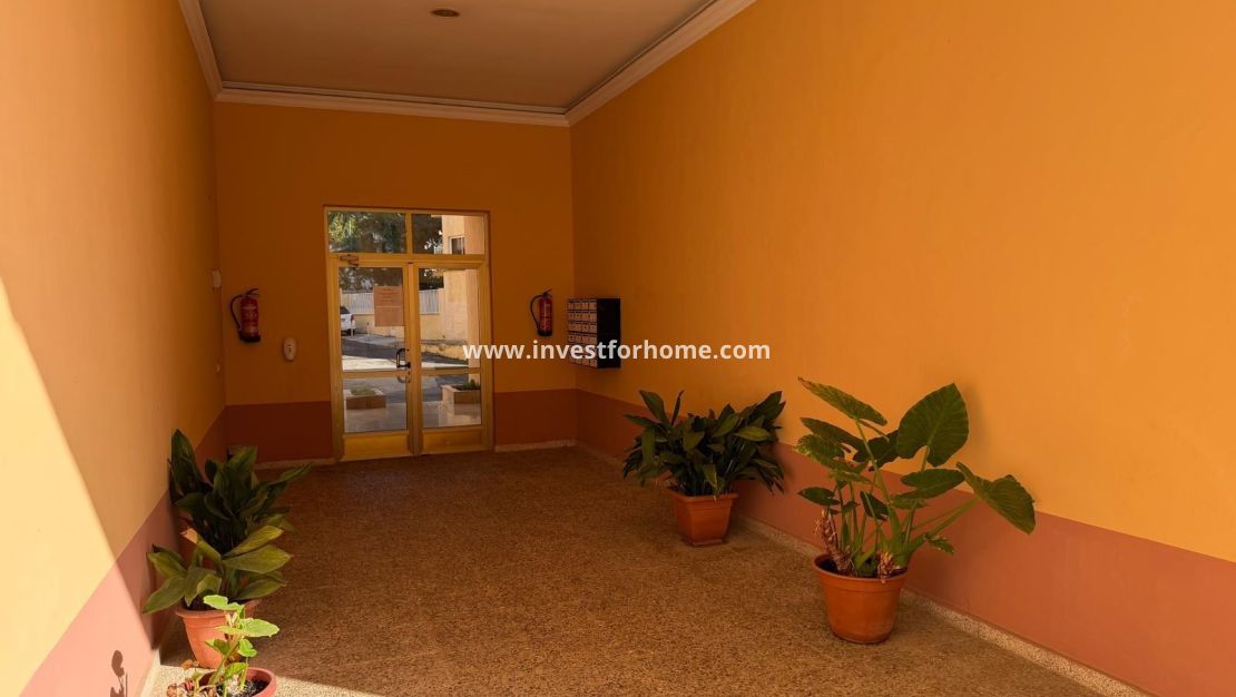 Reventa - Apartamento - San Pedro del Pinatar - Villananitos