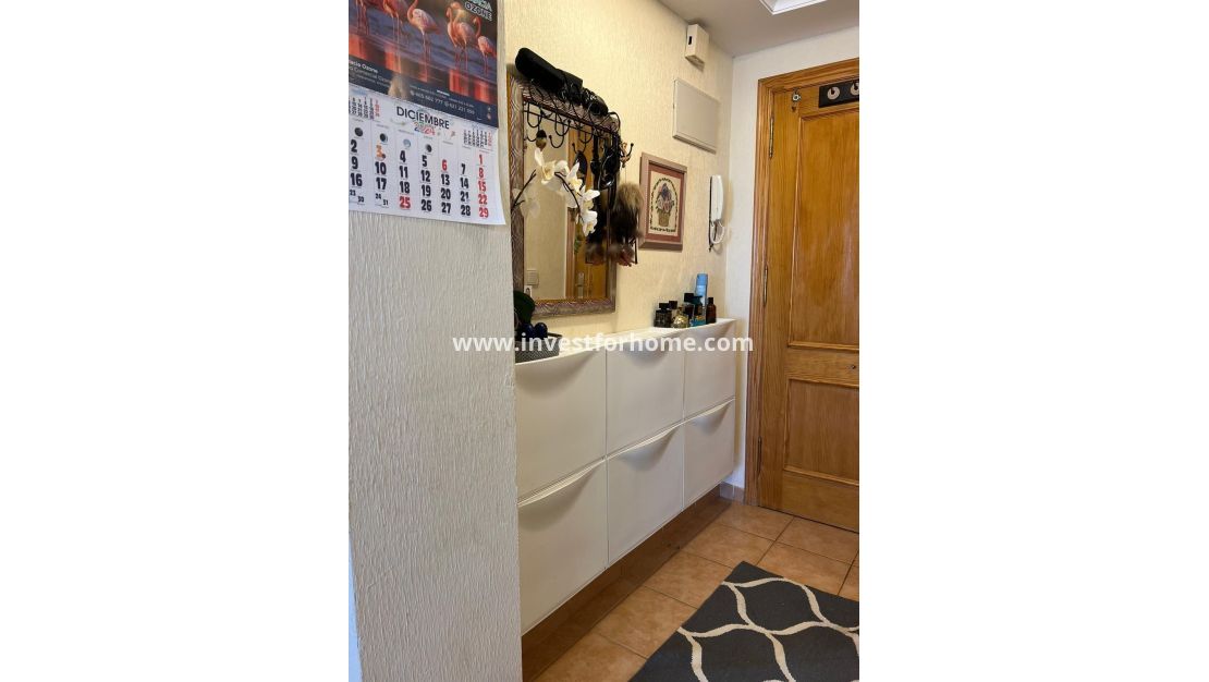 Reventa - Apartamento - Torrevieja - aguas nuevas