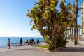 Reventa - Apartamento - Torrevieja - Antonio Machado