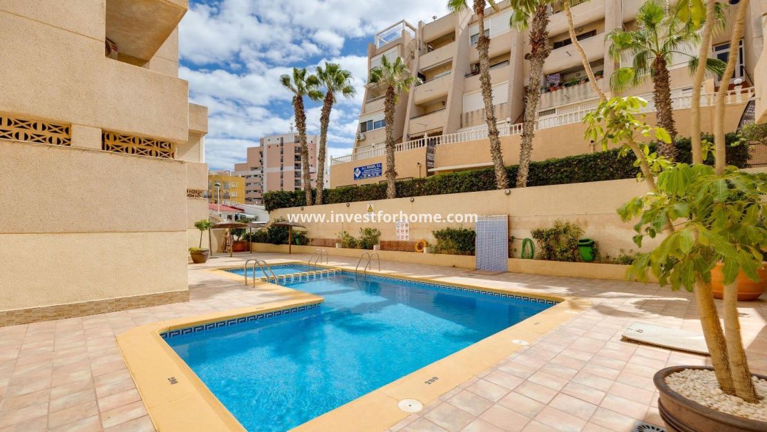 Reventa - Apartamento - Torrevieja - Cabo Cervera