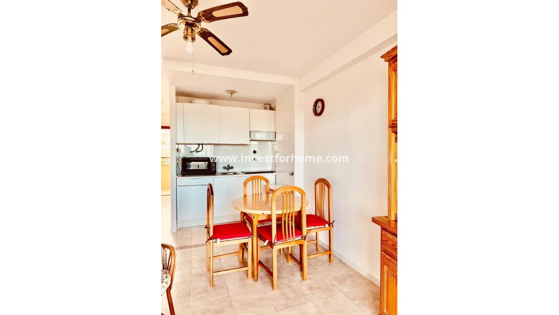 Reventa - Apartamento - Torrevieja - Cabo Cervera