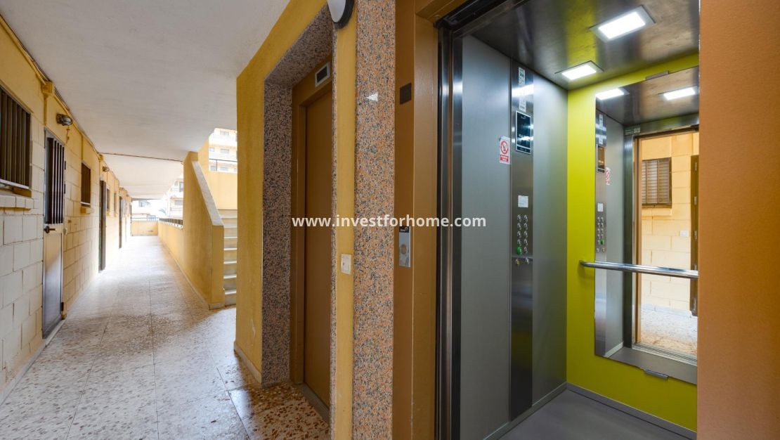 Reventa - Apartamento - Torrevieja - Cabo Cervera