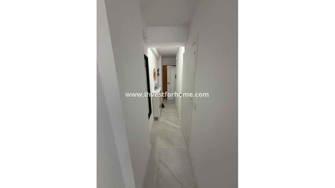 Reventa - Apartamento - Torrevieja - Cabo Cervera