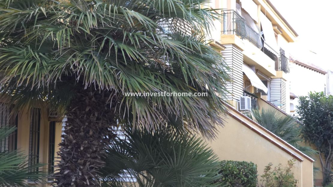 Reventa - Apartamento - Torrevieja - Cala Ferris