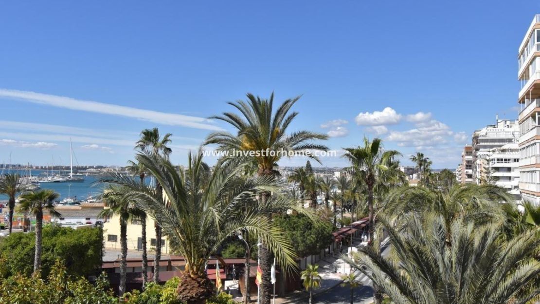 Reventa - Apartamento - Torrevieja - Centro - Muelle Pesquero