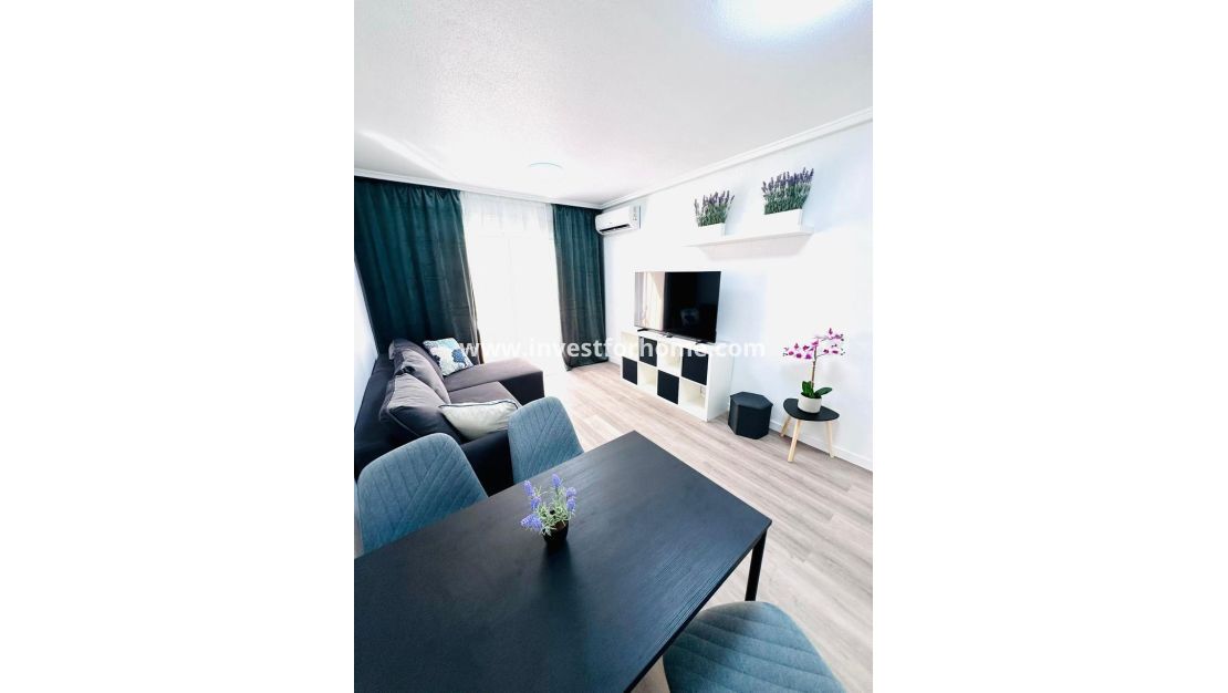 Reventa - Apartamento - Torrevieja - Centro - Muelle Pesquero