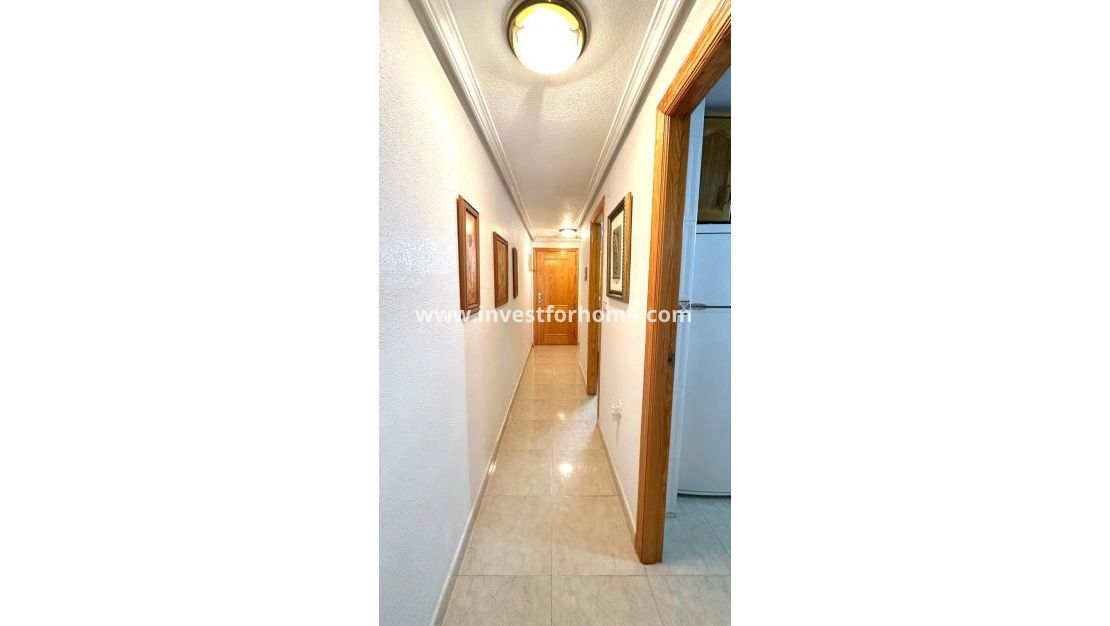Reventa - Apartamento - Torrevieja - Centro