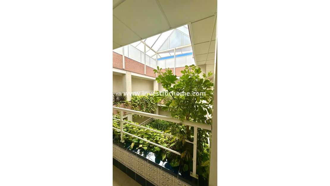 Reventa - Apartamento - Torrevieja - Centro