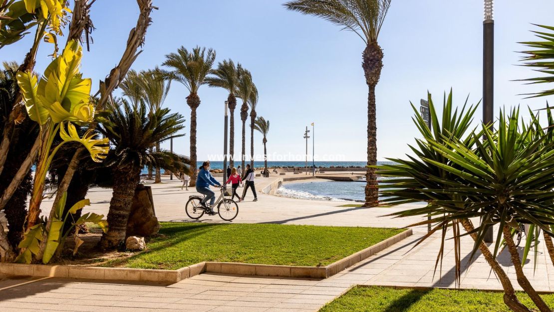 Reventa - Apartamento - Torrevieja - Centro