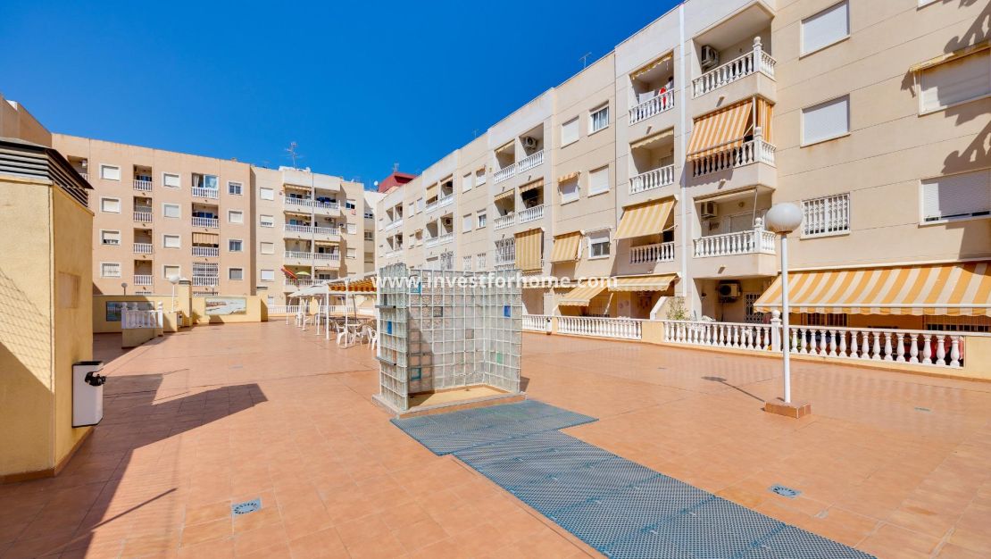 Reventa - Apartamento - Torrevieja - Centro